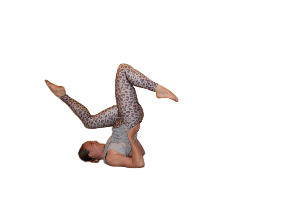 DSC_6666